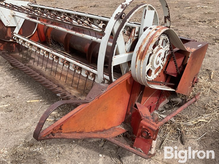 international-7-image-11