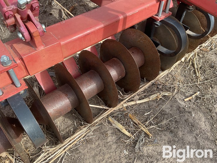 sunflower-4212-image-17