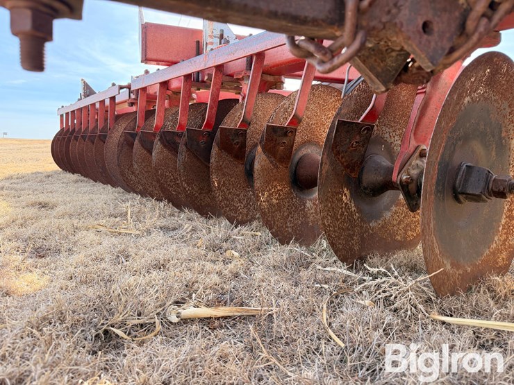 international-490-image-13