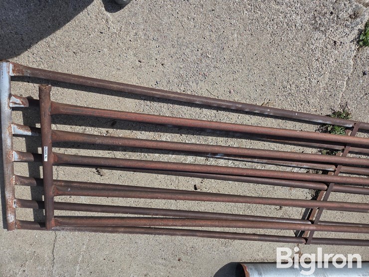 shop-built-livestock-gates-image-10