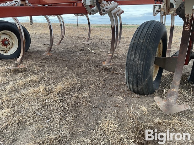 wil-rich-4400-image-14