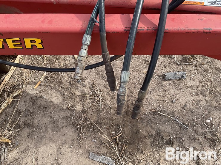 sunflower-4212-image-11