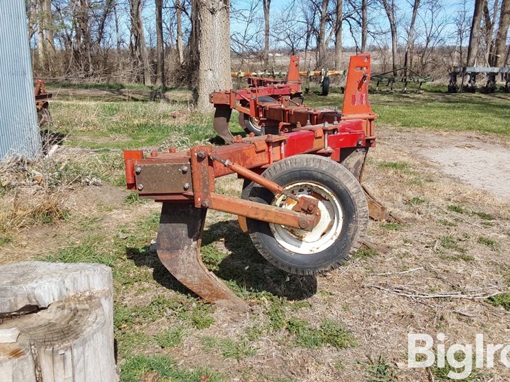 international-10-image-4