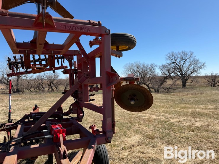 sunflower-3371-33-image-15