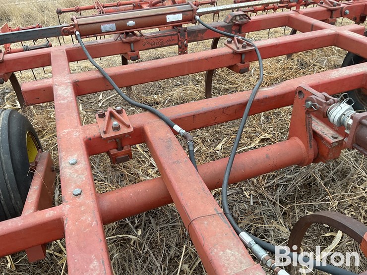 sunflower-2330-image-12