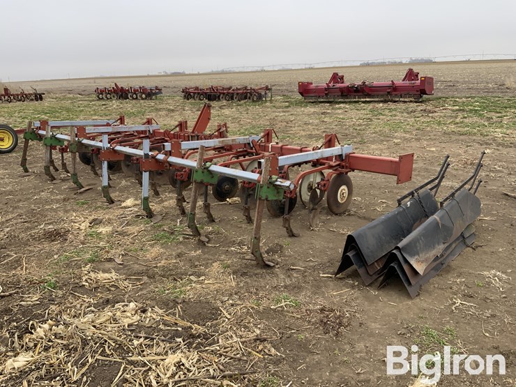 international-170-image-5