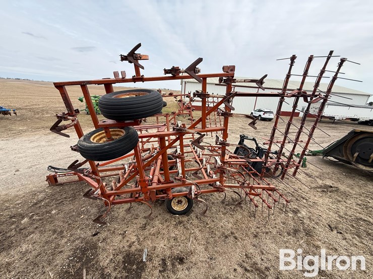 wil-rich-2500-image-8