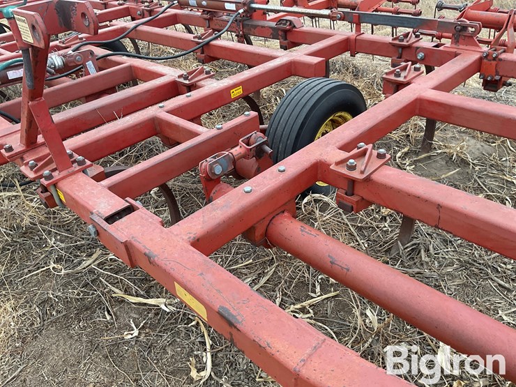 sunflower-2330-image-10