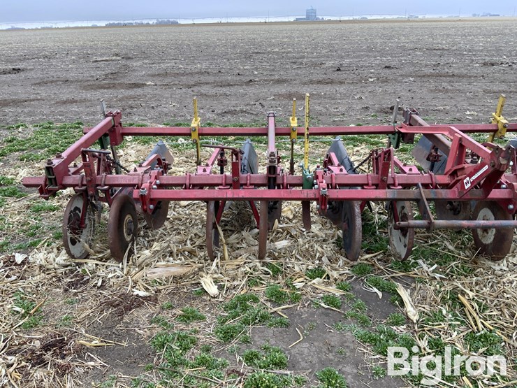 international-470-image-13