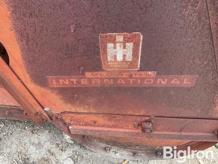 international-5-image-18