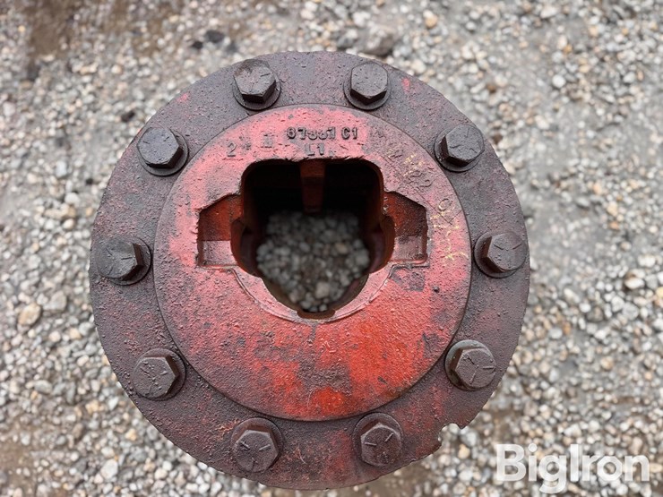 international-1566-image-16