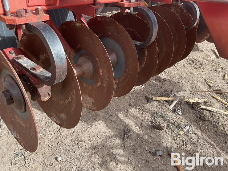 sunflower-1232-32-image-15