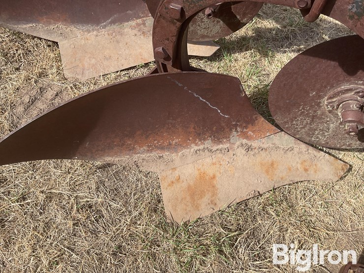 international-3-image-13