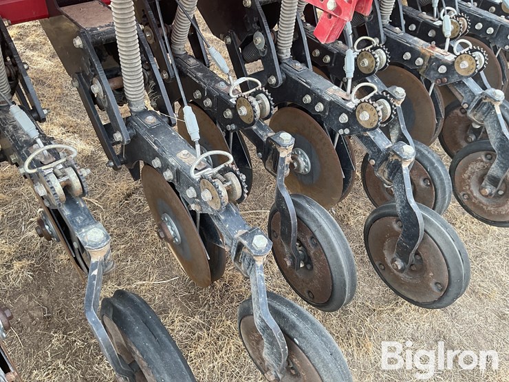 sunflower-9433-30-image-13