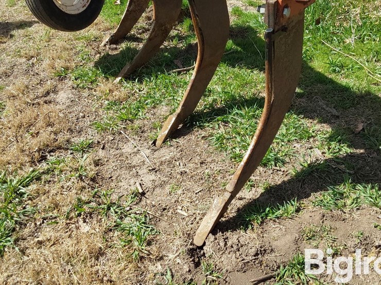 international-10-image-10