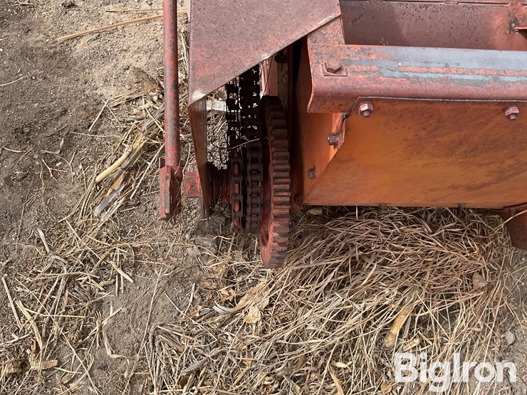 international-7-image-18