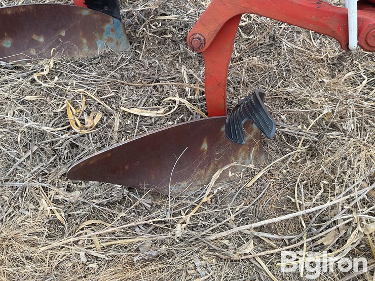 international-800-image-16