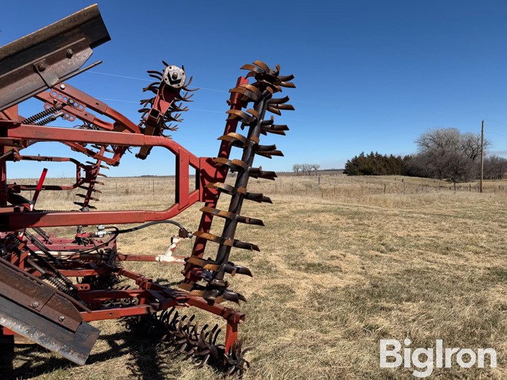 sunflower-3371-33-image-19