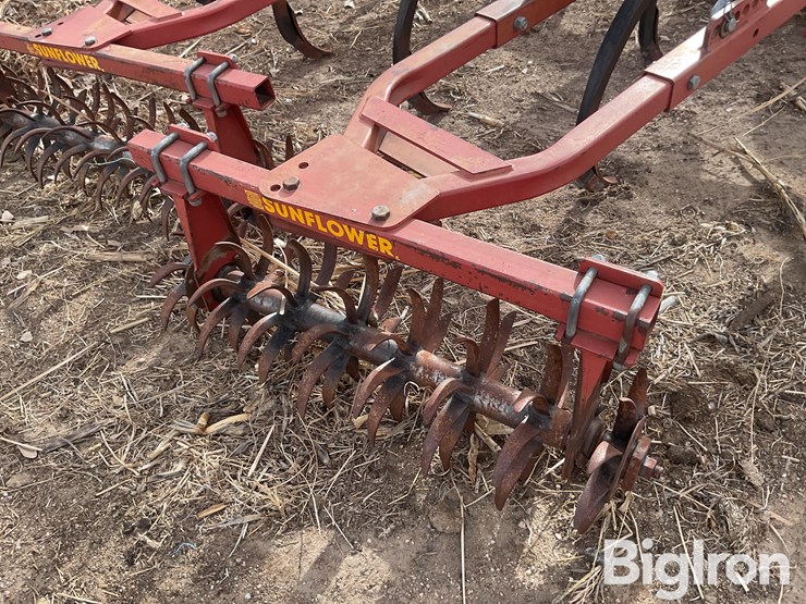 sunflower-4212-image-20