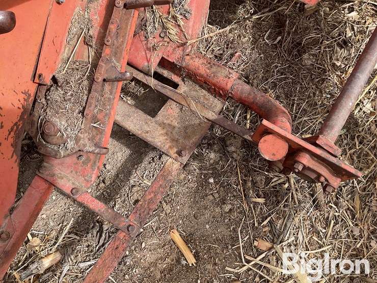 international-555-image-18