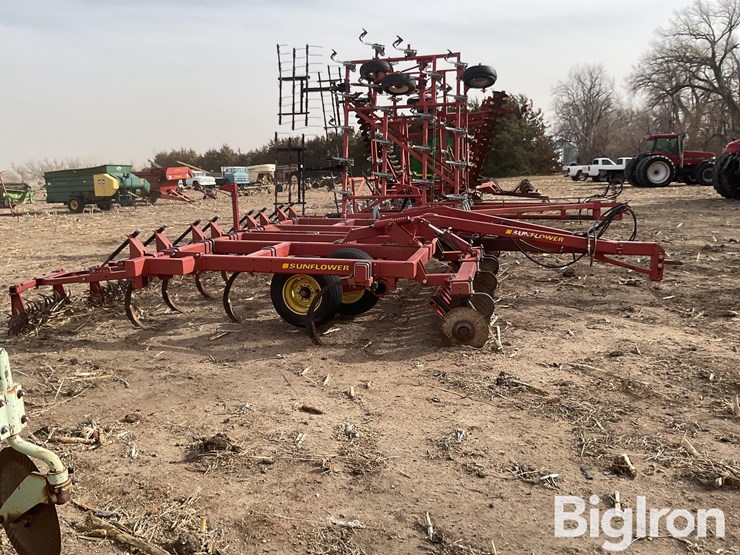 sunflower-4212-image-4