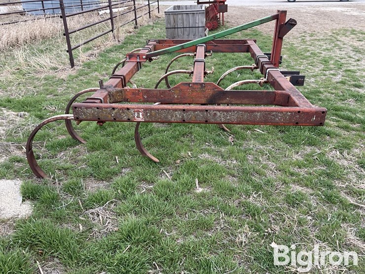 international-55-image-4