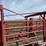 diamond-w-portable-folding-livestock-corral-image-14