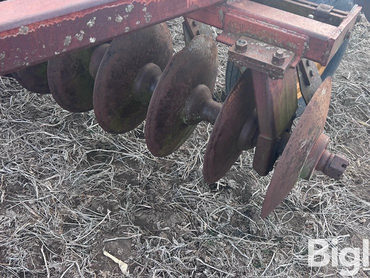 sunflower-g14-image-16