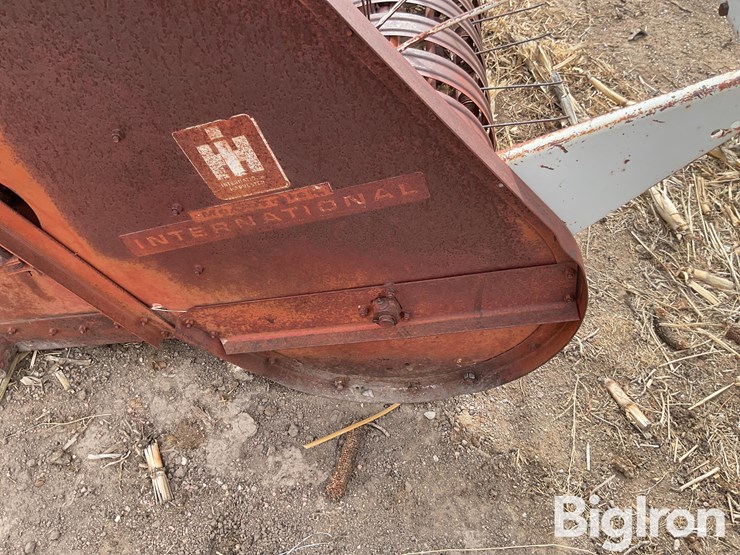 international-5-image-15