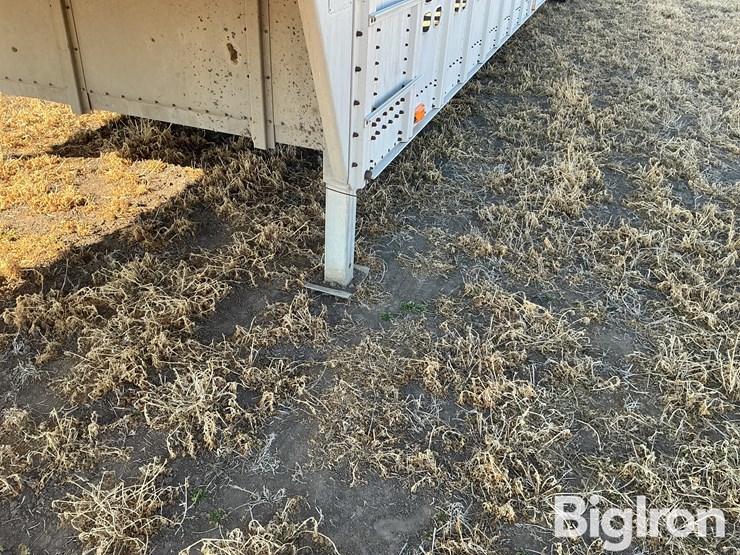 2001-wilson-psdcl-302-image-14