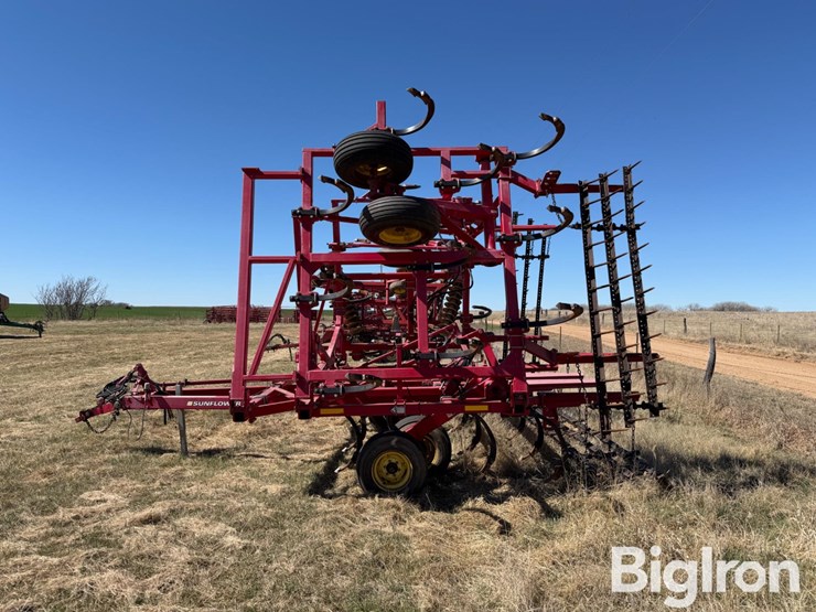 sunflower-2433-31-image-4