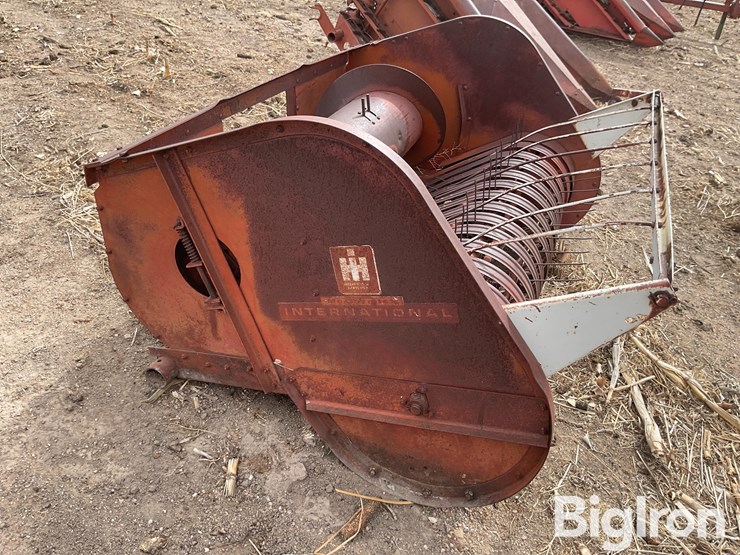 international-5-image-4