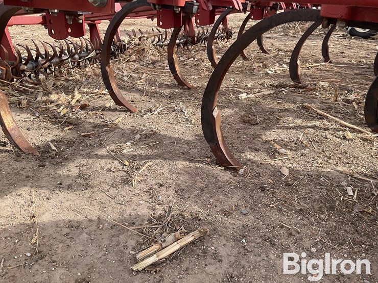 sunflower-4212-image-19