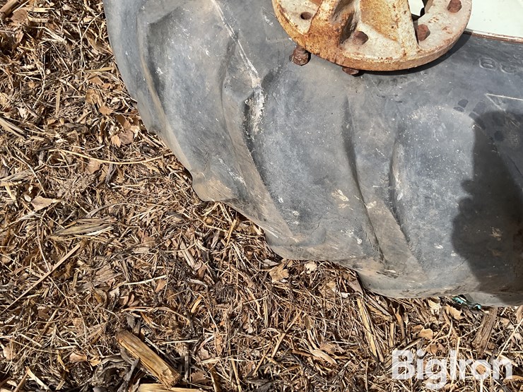 international-18-image-16