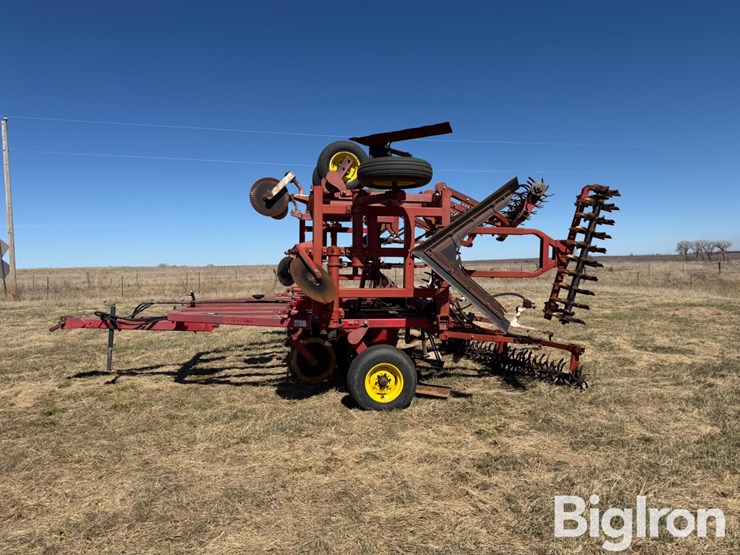 sunflower-3371-33-image-7