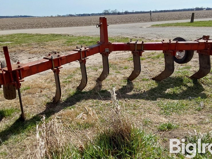 international-10-image-6