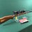 savage-mdl.m-25-204-ruger-cal-rifle-image-2