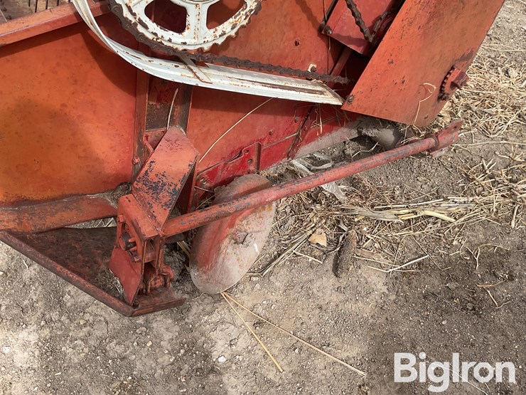 international-7-image-13