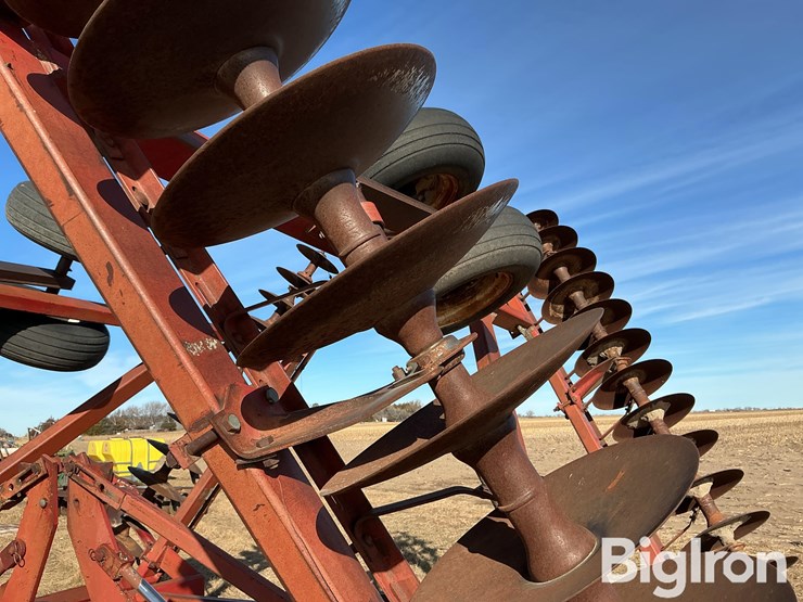 international-490-image-20