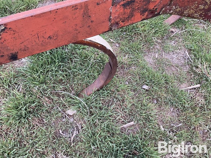 international-55-image-11