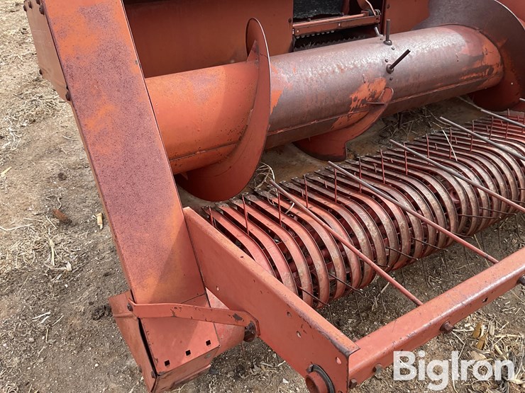 international-555-image-17