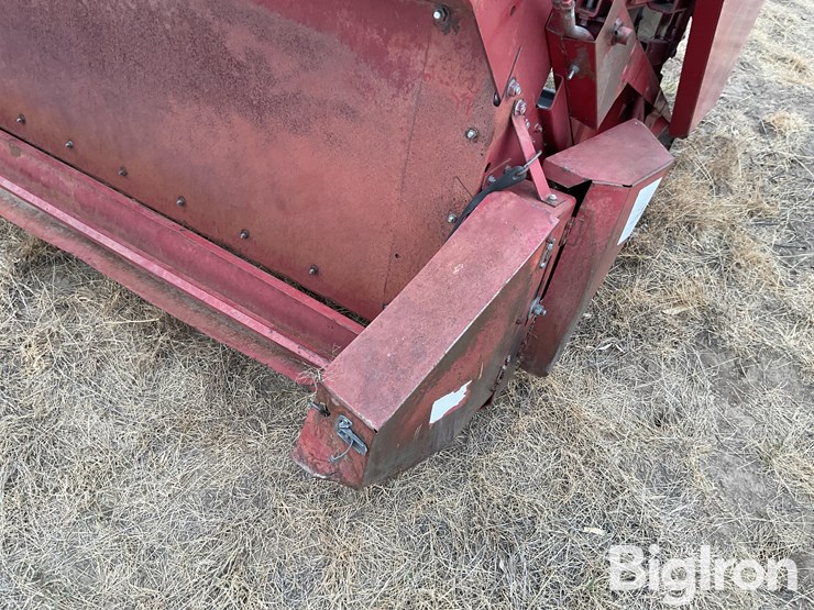 international-810-image-20