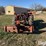 1978-massey-ferguson-245-image-6