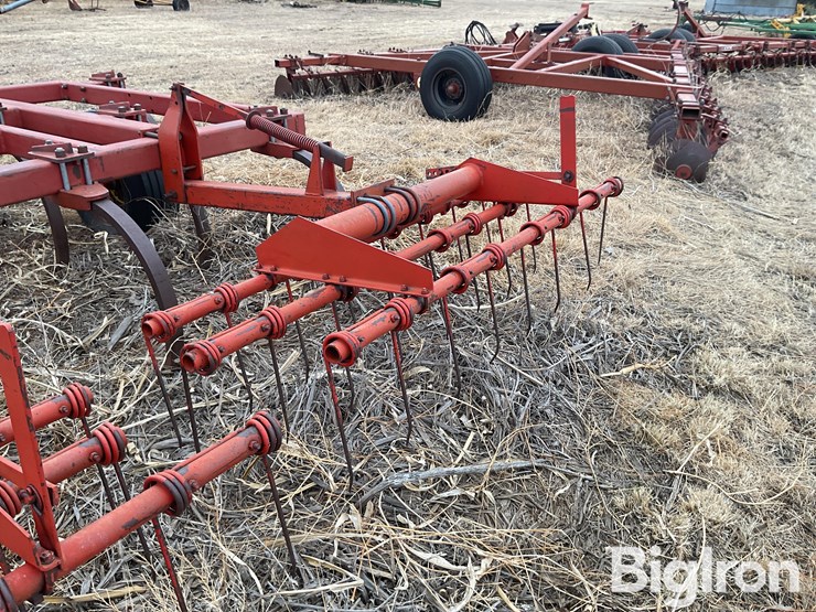 sunflower-2330-image-20