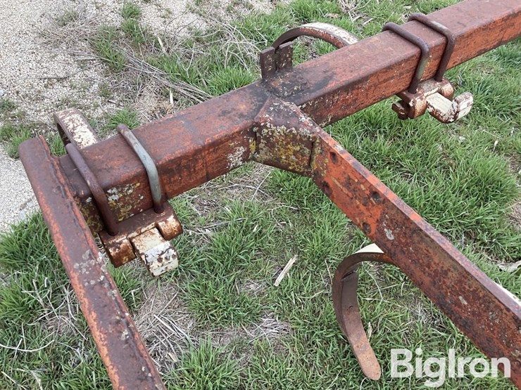 international-55-image-20