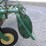 2004-john-deere-705-image-13