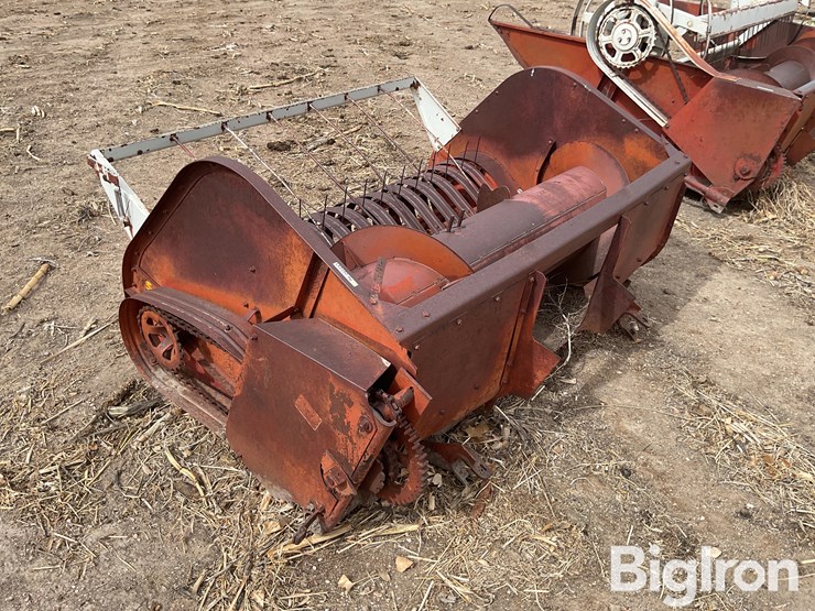 international-5-image-7