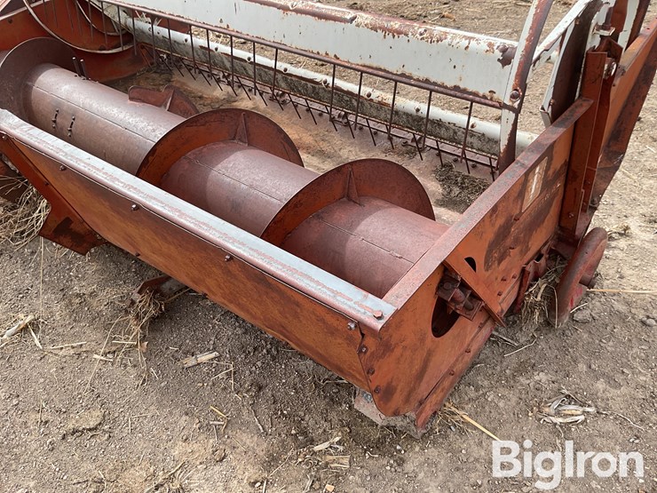 international-7-image-16