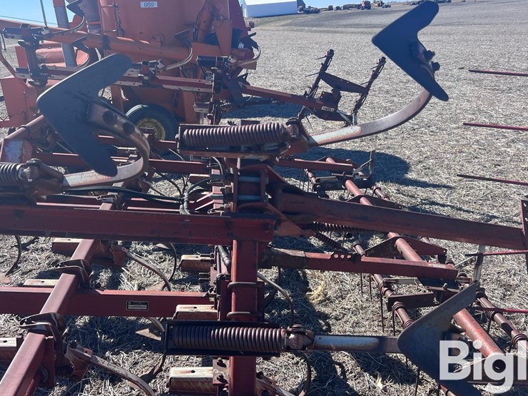 international-45-image-11