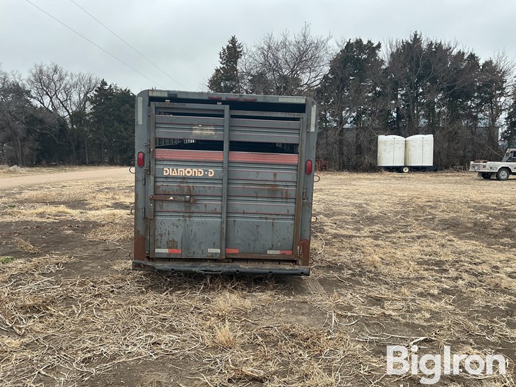 1996-diamond-d-image-6